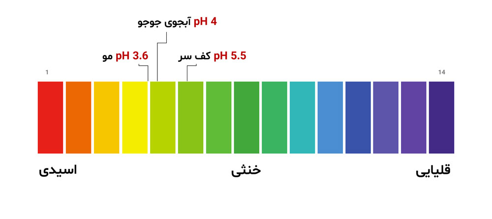 میزان pH آبجو در مقایسه با pH مو و pH کف سر